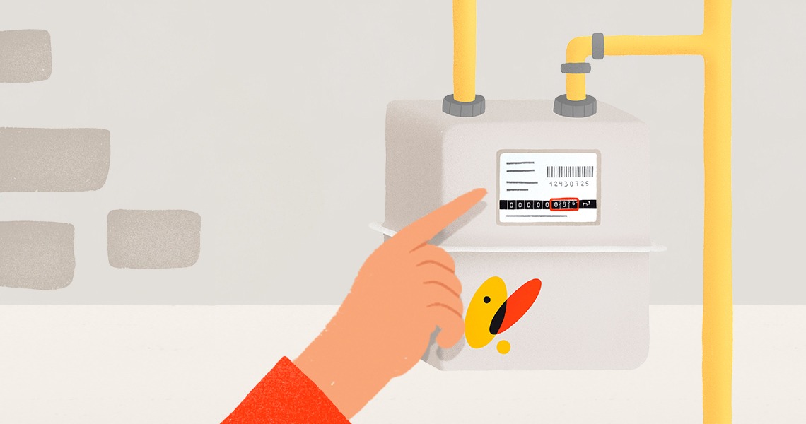 Detalle de un contador de gas natural