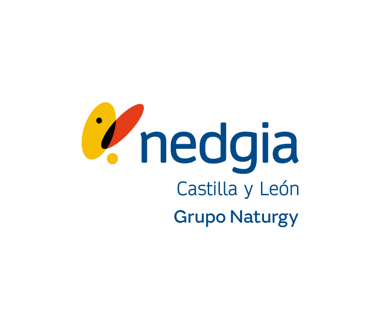 Delegación de Nedgia en Castilla y León