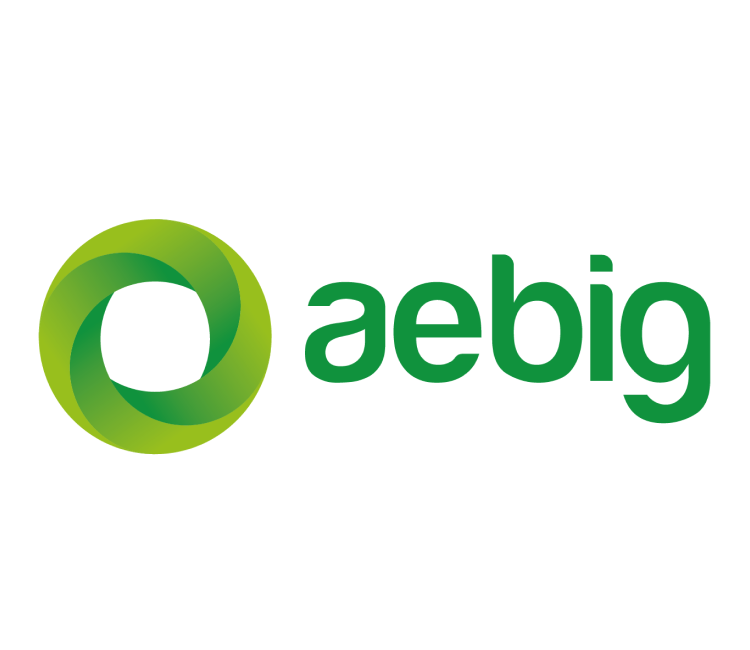 Logotipo de la Asociación Española del Gas (AEBIG)