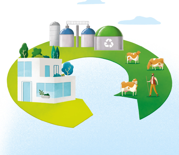 Desarrollo del consumo de gas natural en EspaÃ±a