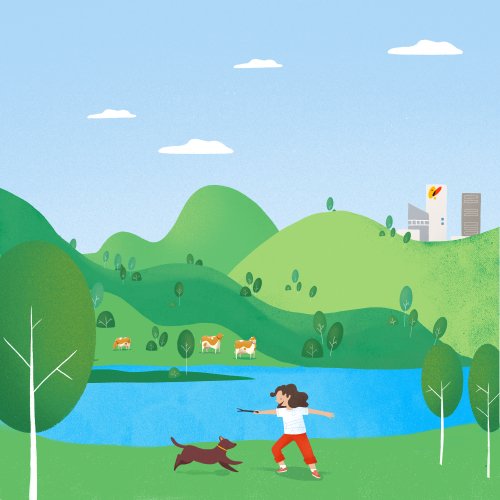 Energía sostenible y su aplicación en el gas