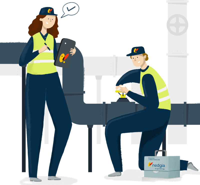 Inspección periódica de instalaciones de gas