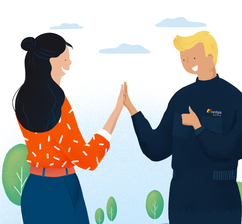 Oferta pública de suministro de gas natural en Nedgia