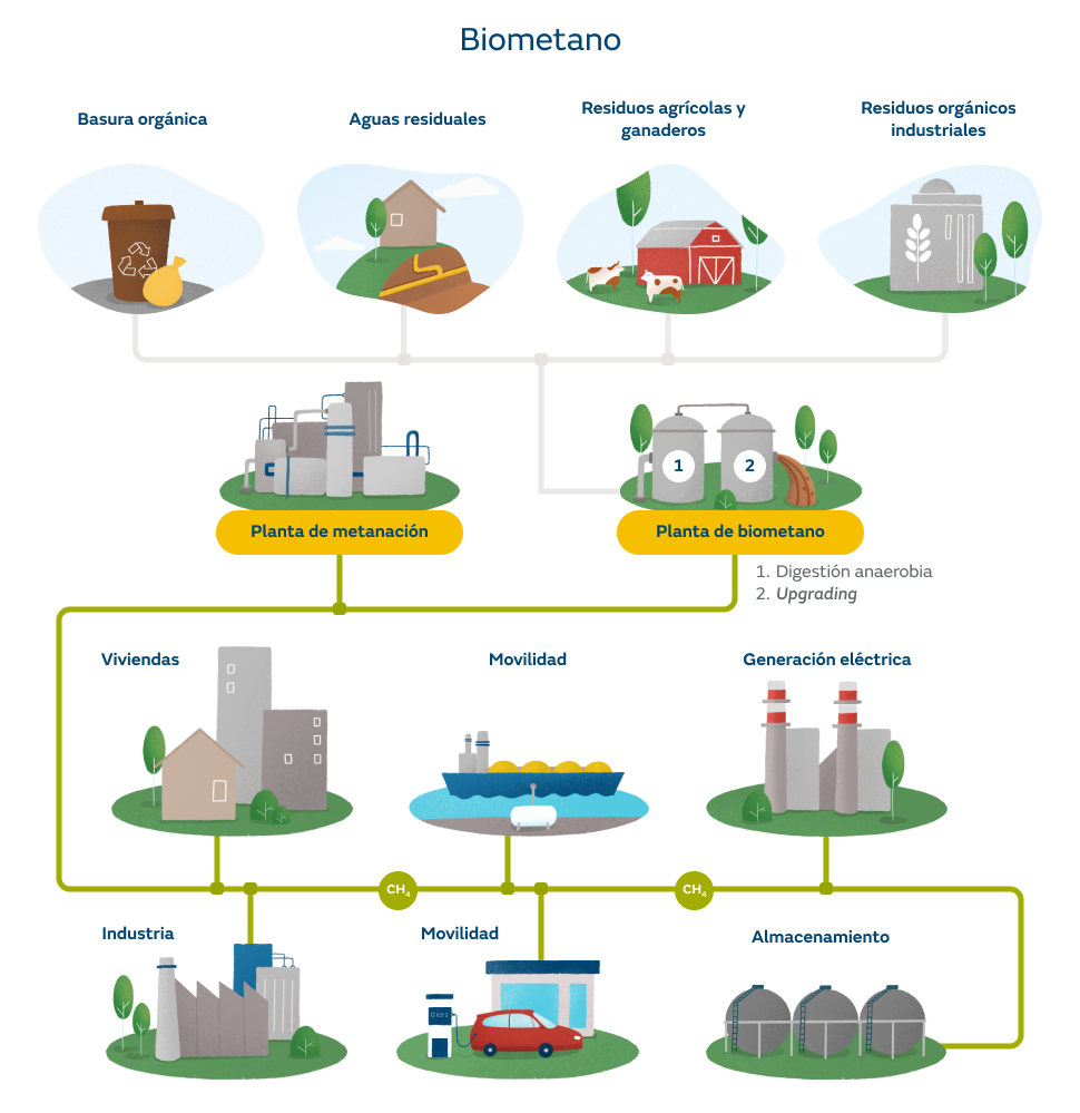 Infografía sobre el biometano y su producción
