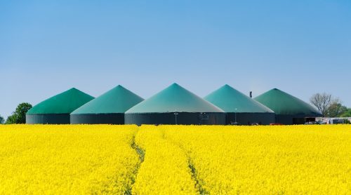 Inxección e distribución de gas renovable na rede de Nedgia