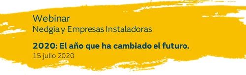 Webinar de Nedgia: “2020: O ano que cambiou o futuro”